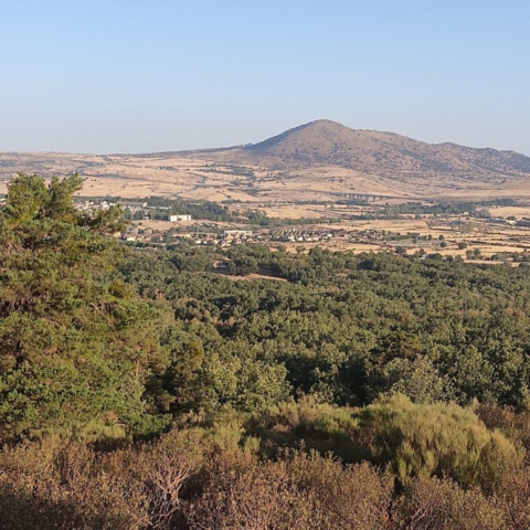 Las Barrancas