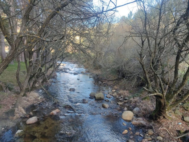 La Panera parque natural en El Espinar